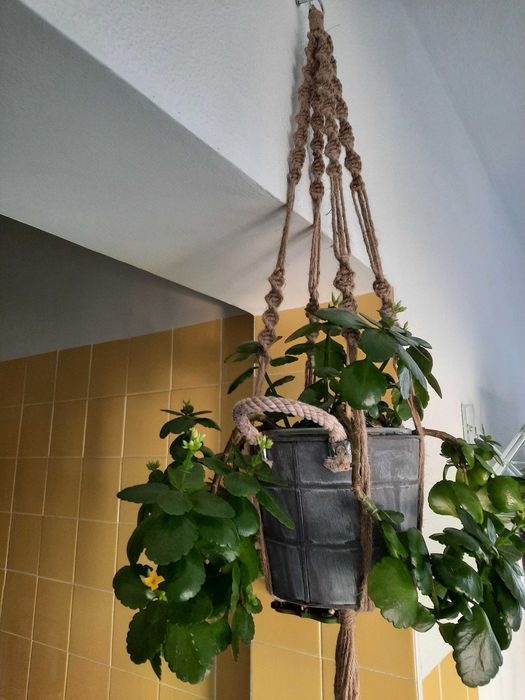 Macrame para planta