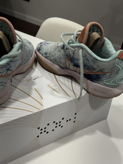 Nike LeBron XXI 'Aragonite' Basketball Shoe - Jade Ice Terra Blush