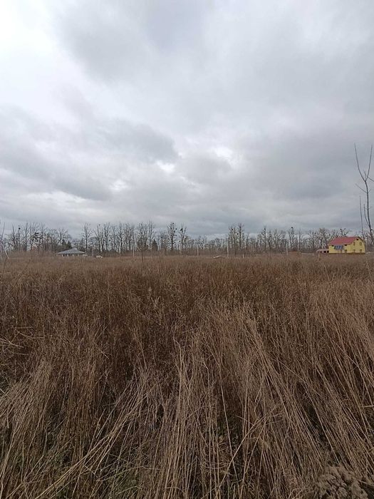 Продаж земельної ділянки під житлову забудову, с. Бохоники, 8 соток
