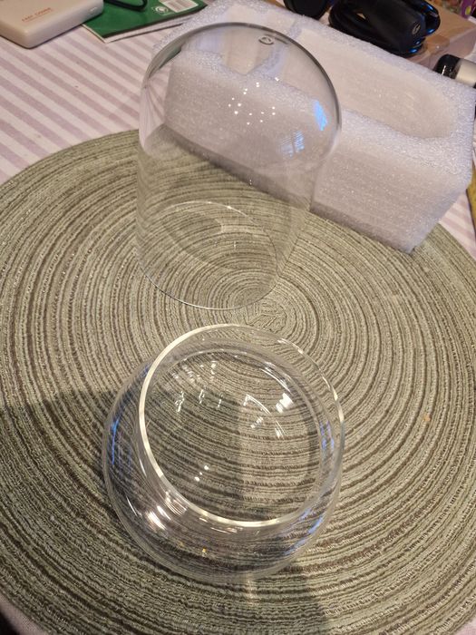 Klosz terrarium dla roślin