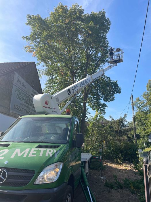 Przycinka drzew, czyszczenie rynien. Podnośnik koszowy.
