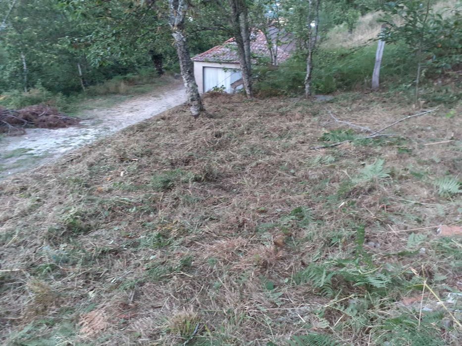 Baixa de preço Moradia independente Vila Real