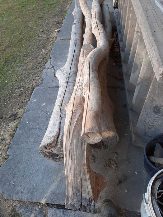 Sprzedam pnie jesionowe.