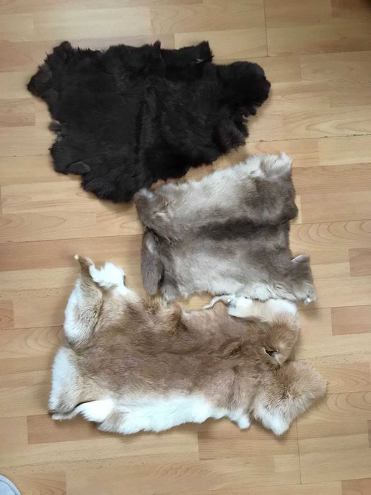 Шкурки кролика, ціна за 3 штуки