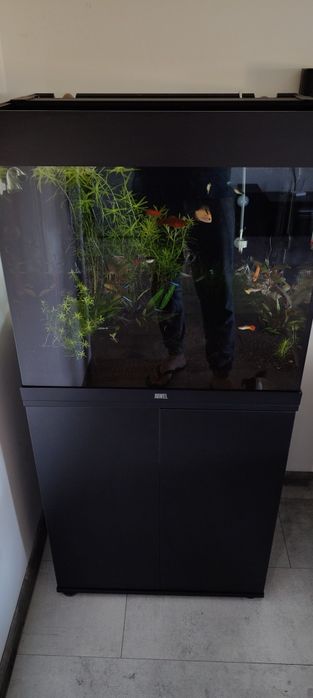 Sprzedam akwarium juwel