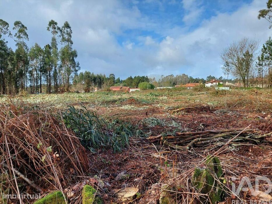 Terreno em Vila de Punhe de 4388,00 m2
