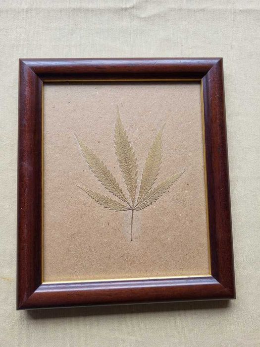 Quadro com Folha Especial