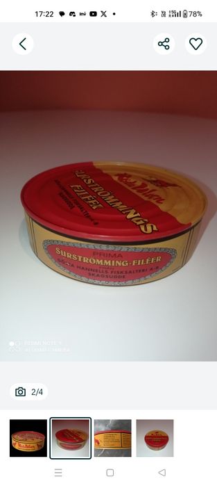 Śledź kiszony Surstromming