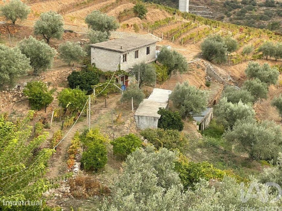 Rural Quinta (T3) in Carlão and Amieiro, 57,566 m²