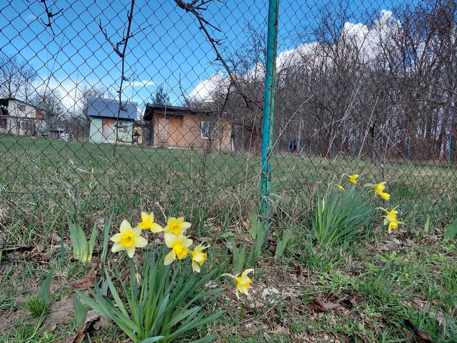 Продається дача 6 сот с. Романівка