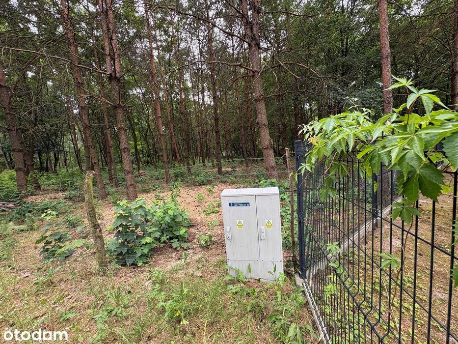 Działka budowlana 1505 m² , ogrodzona, prąd, Wężyk, gmina Grodzisk Maz