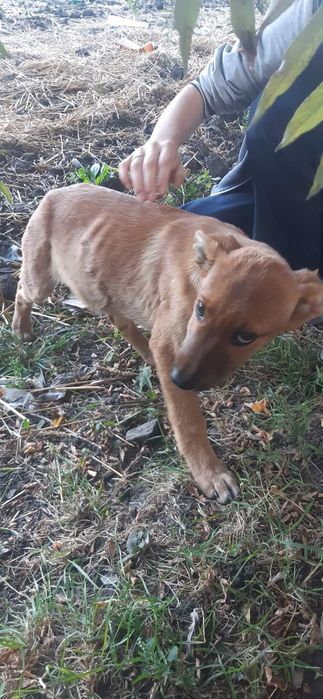 ДАМ 2 ТИСЯЧІ НЕ БАЙДУЖИМ Терміново потрібна допомога