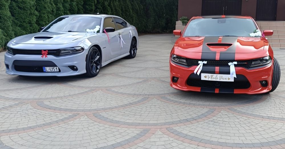 Wesela ,imprezy,  chargery V8