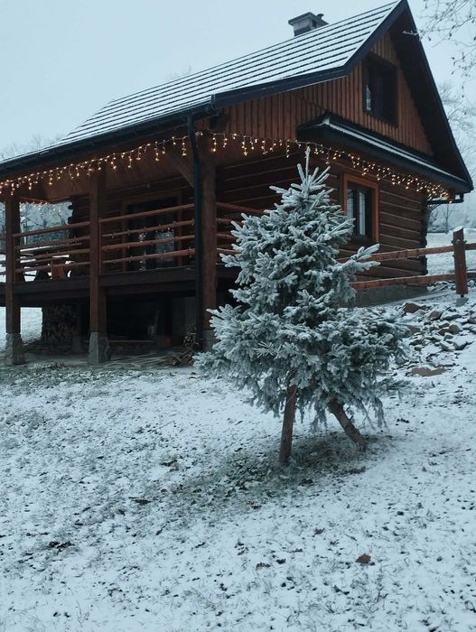Domek w górach na Sylwestra, wypoczynek, ferie w górach