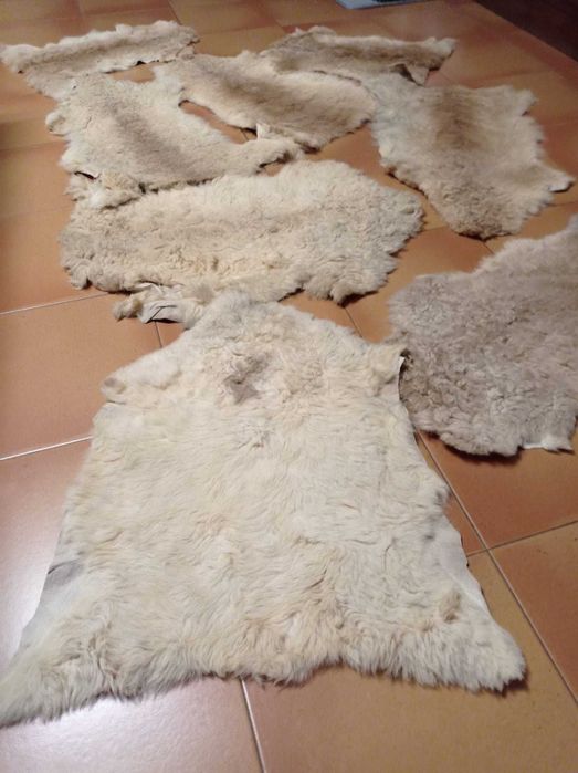 Peles Cordeiro em ótimo estado (55 peles)