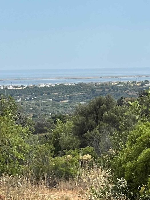 Vende-se terreno ( ótimo para casa de madeira )