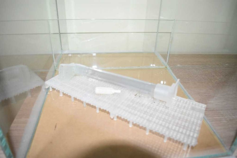 Akwarium OptiWhite 29x38x35 dno Float + filtr Ista