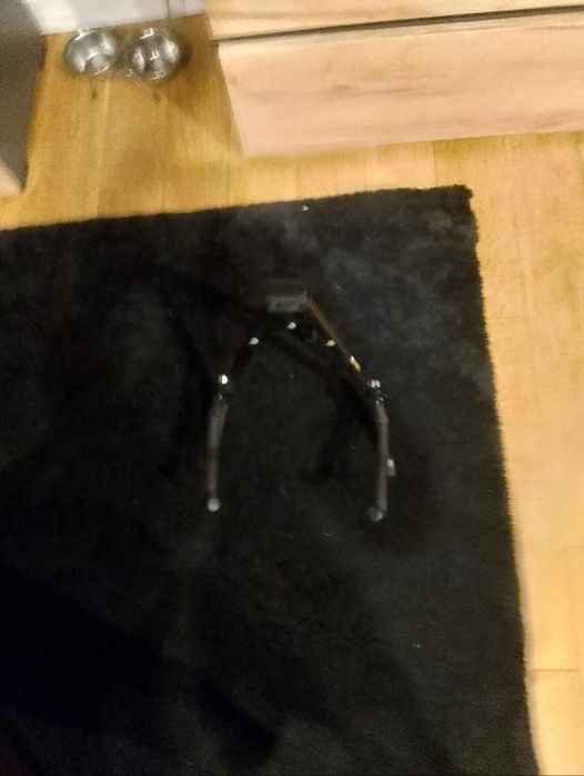 Gitara klasyczna Ortega RPPC44