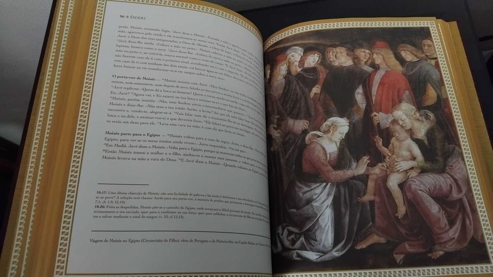 Coleção Biblia Sagrada