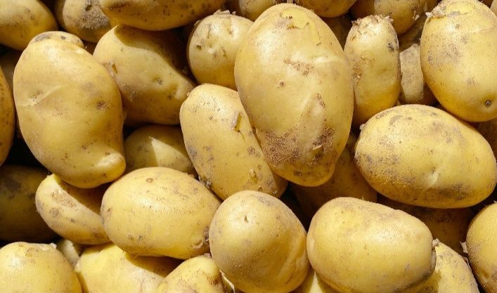 Домашня картопля