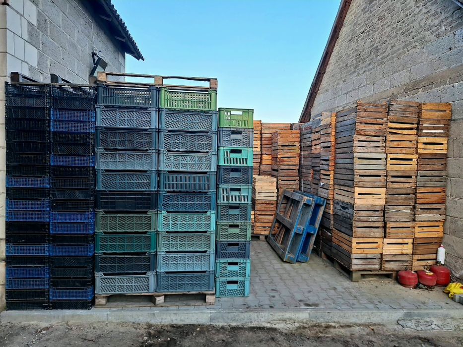 Sprzedam klatki skrzynki pieczarkowe jabłko owoce