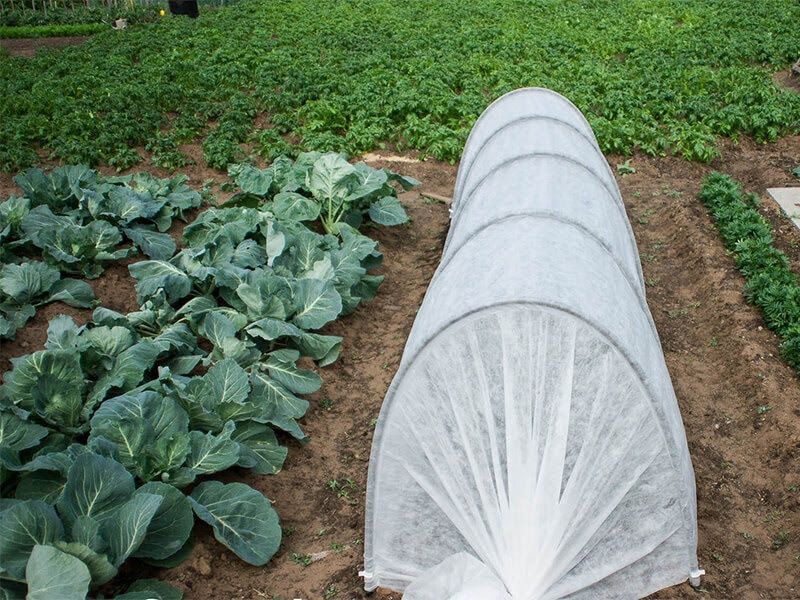 Парник з агроволокна  "Єконом" 40 г/м2 від 3м до 8м . 80смх120см