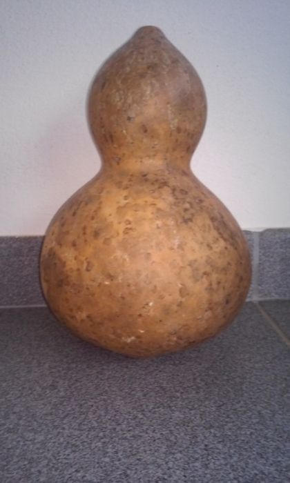 Cabaças - Bragança