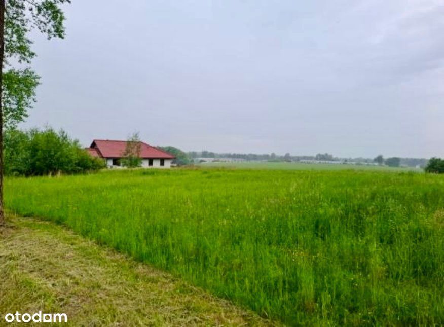 Atrakcyjna działka 14,8 ar – Pisarzowice, ul. Krakowska - Widok 2