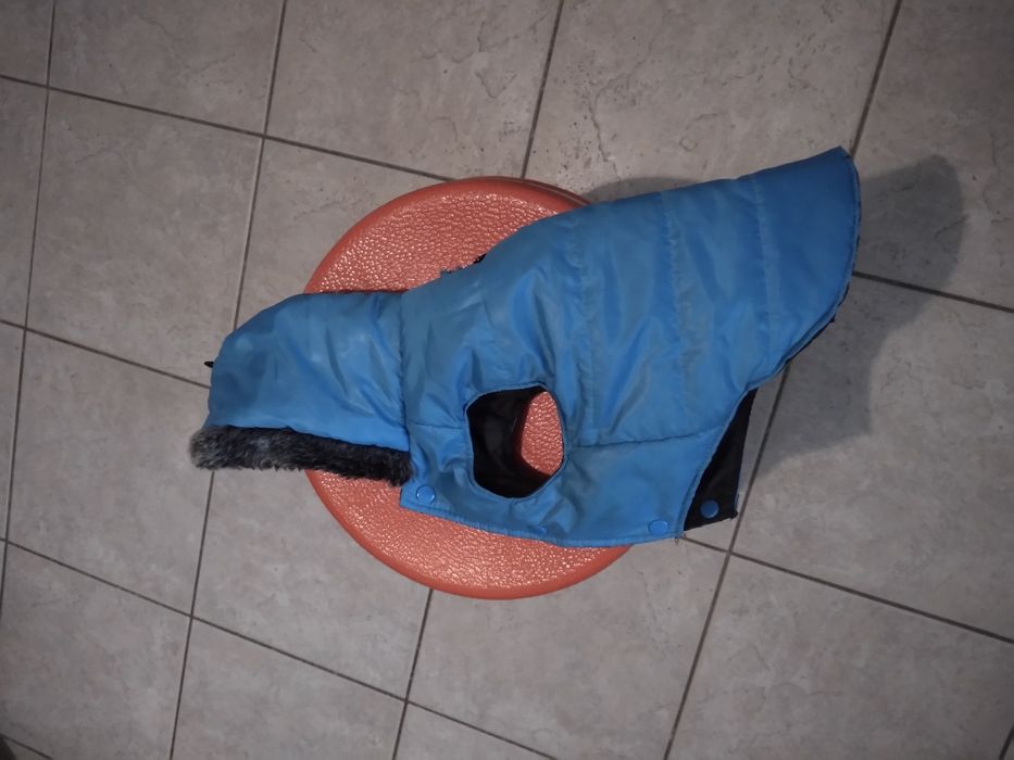 Kurtki zimowe dla małego psa 6 kg.