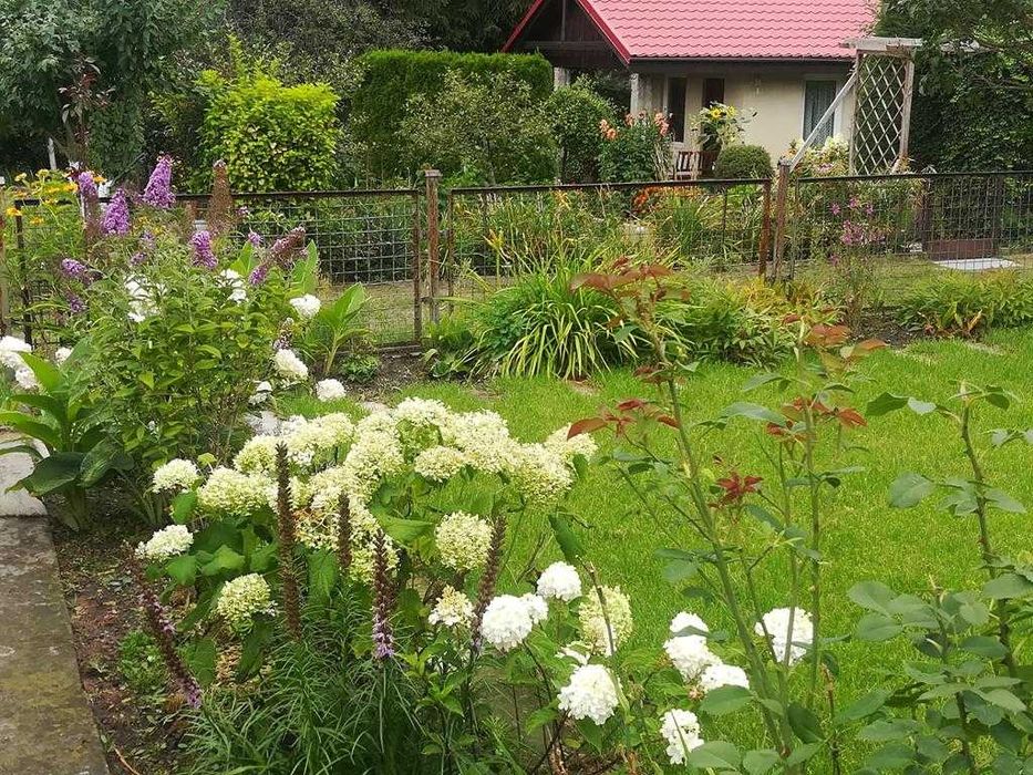Duża działka ROD Wronki Borek - Widok 4