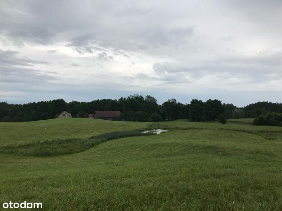 Siedlisko 2,38 ha z zabudowaniami i stawem – 14 km od Olsztyna