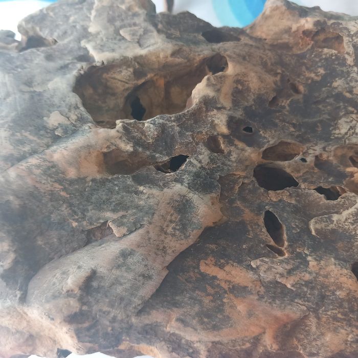 Pedra decorativa aquario