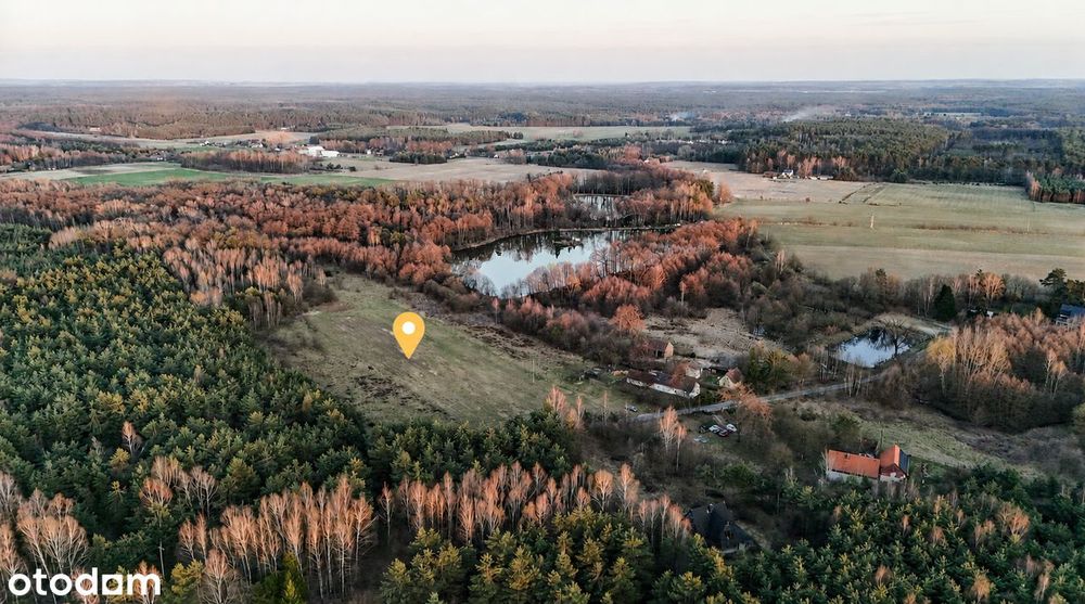 Działka budowlana przy lesie i stawie | Nowa niższa cena! Drogoszowice