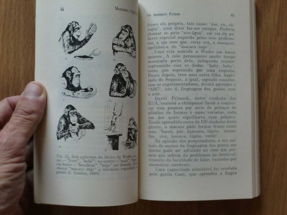 A Linguagem dos Animais de V. P. Morozov