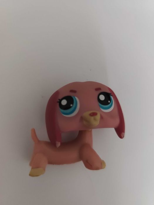 Jamnik różowy LPS cena już z olx