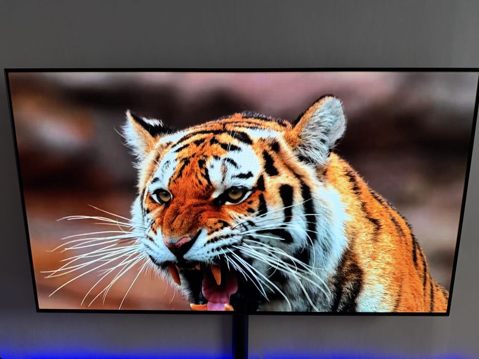 LG  OLED55B8PLA  55’’