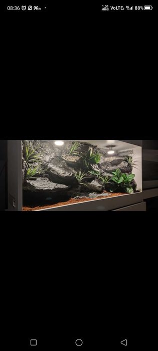 Okazja terrarium dla agamy gekona żółwia węża kameleona legwana boa pająka 120x60x60