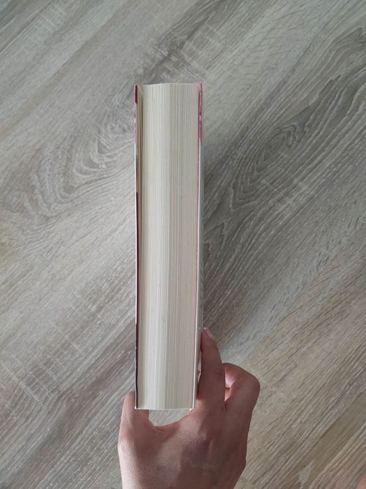 Cavalo de fogo - Paris, de Florencia Bonelli