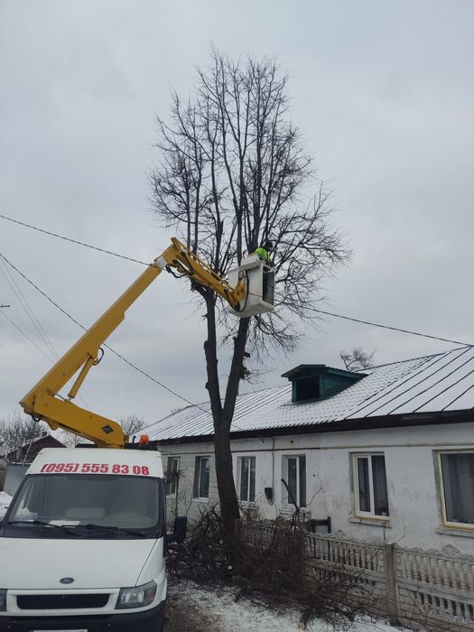 Обрізка та видалення дерев