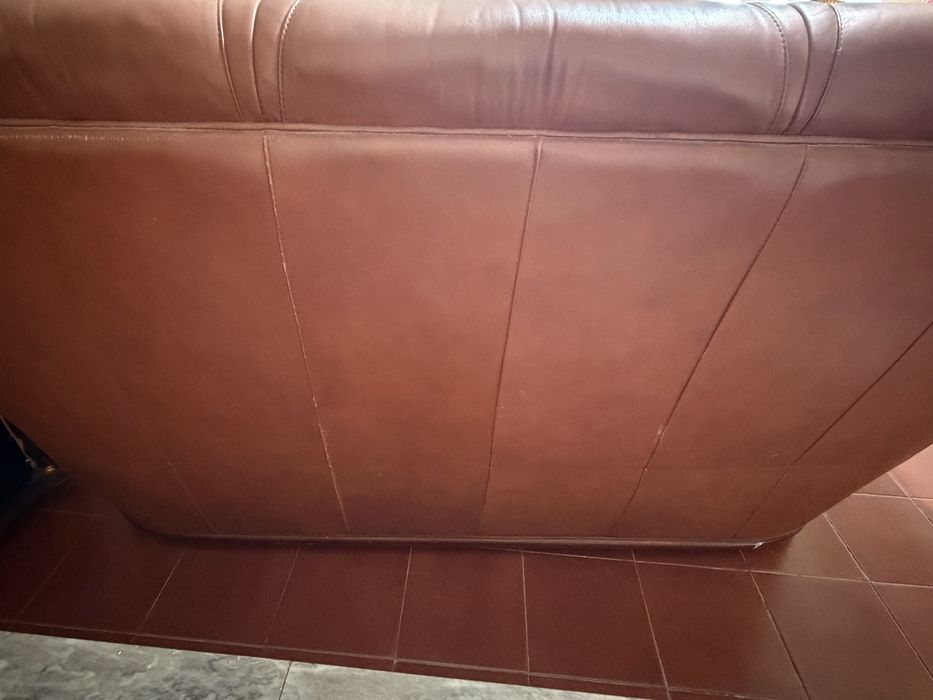 Sofas em pele. Castanho e detalhes madeira