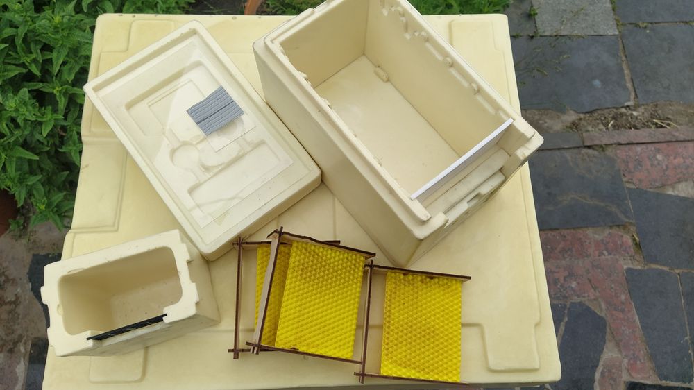 Нуклеус ППУ, Вулик