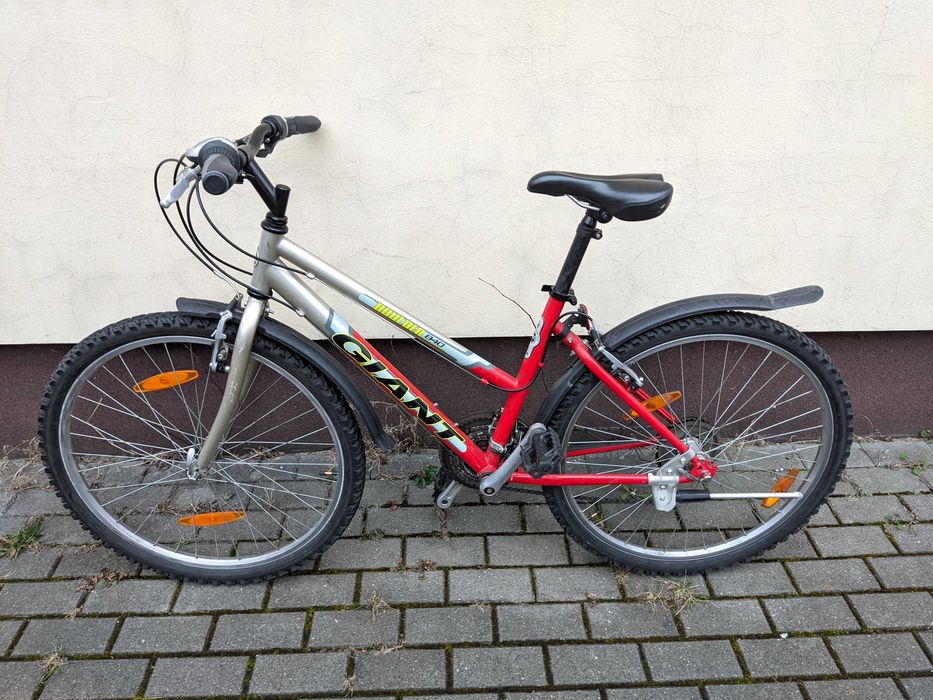 Rower Giant Boulder 840