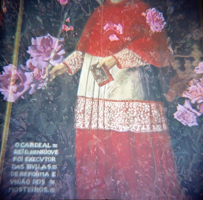 Lomography Diana F+ 120mm analógica