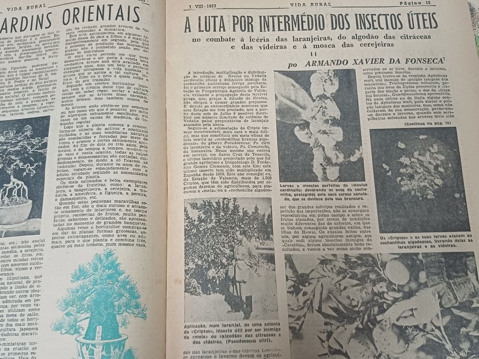 Jornais Vida Rural (anos 50)