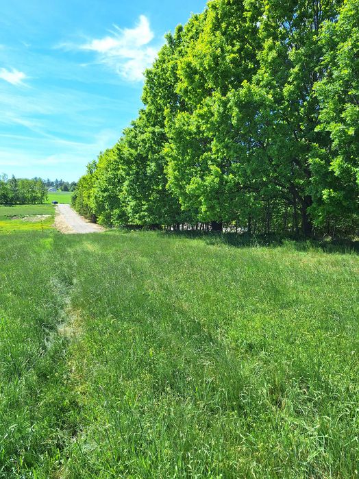 Działki budowlane Warzno z Warunkami Zabudowy