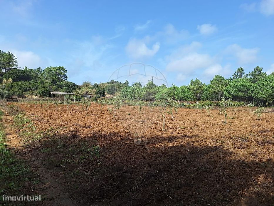 Terreno  para venda — Serra D'El Rei, Leiria