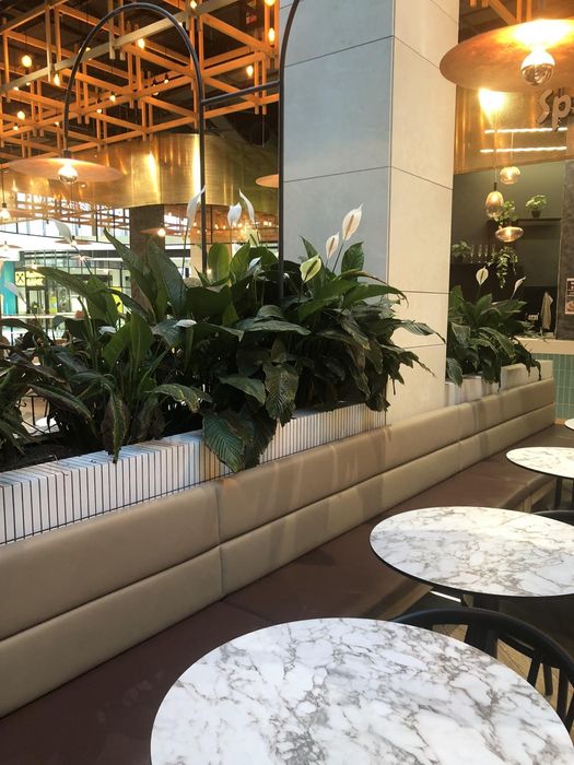 Квіти для   бару