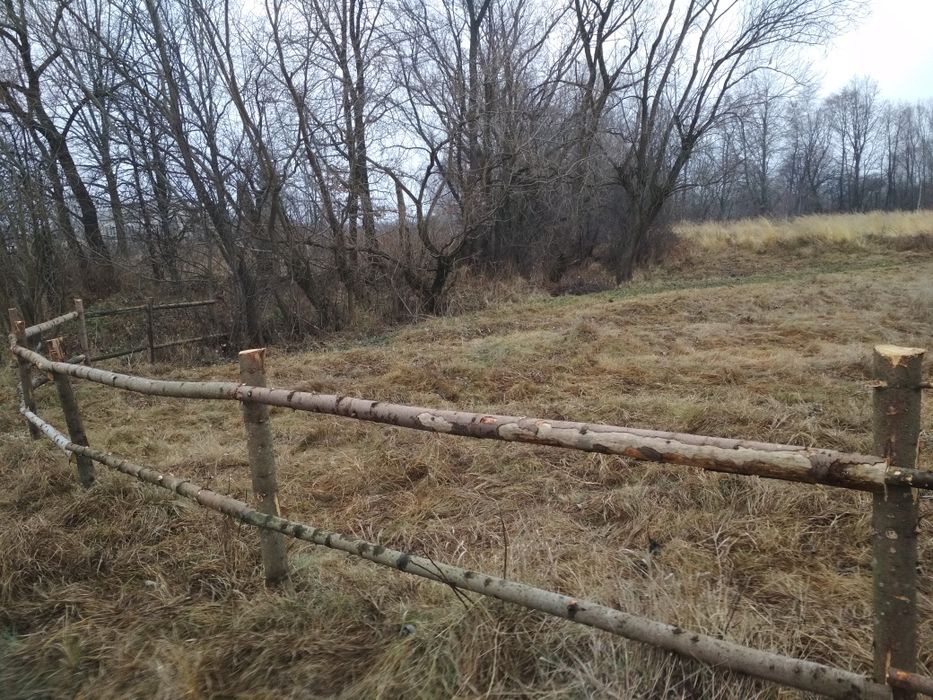 Земельна ділянка