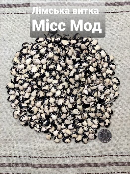 Квасоля Лімська насіння