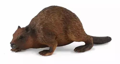 Bóbr. Collecta. Nowy Produkt